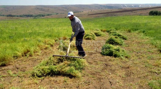 Bu yapılan işin günlüğü bin, aylığı ise tam 30 bin lira