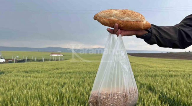 Bu şehirde çiftçinin 1 kilogram buğdayı 1 ekmek etmiyor