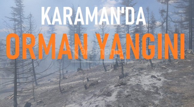 Karaman'daki orman yangınına havadan ve karadan müdahale ediliyor