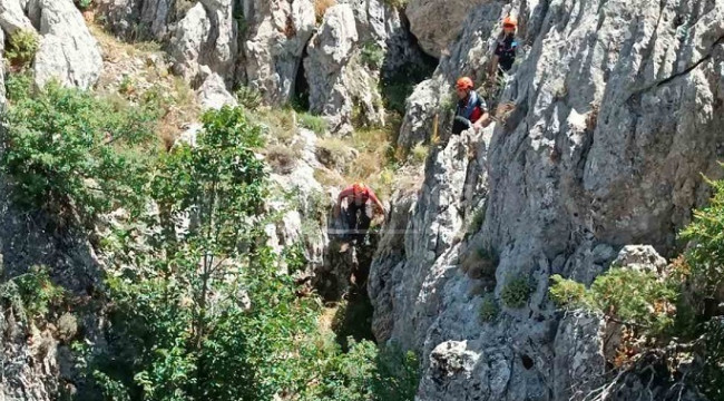 Toroslar'daki Küpe Yaylası'nda keçi kurtarma operasyonu