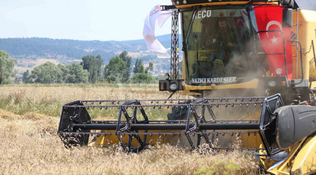 Ümit vaat eden bir çeşit, dönümde 600 kilo verim