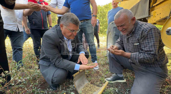 3 farklı rakımda denendi, hasatta alınan sonuç sevindirdi