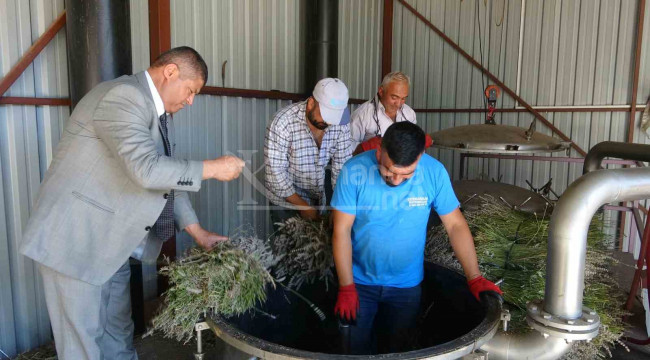 60 kilosundan 1 kilo çıkıyor, 600 liraya satılıyor