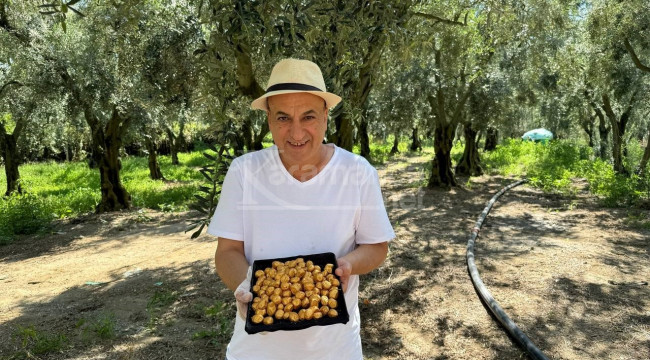 Bu da oldu, Altın kaplamalı zeytin yok satıyor