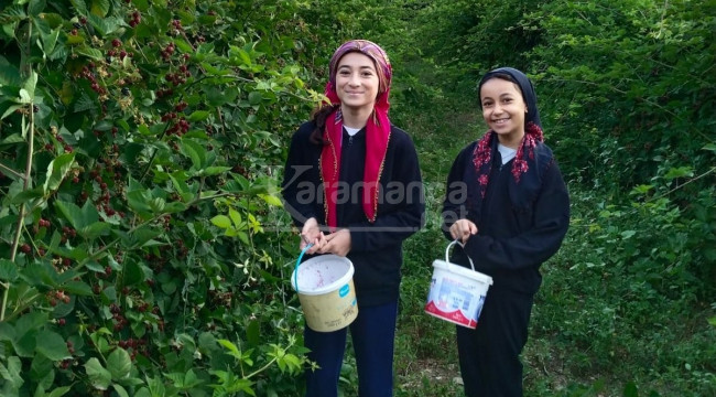 Kanser ve tümör hücrelerinin büyümesini engelliyor