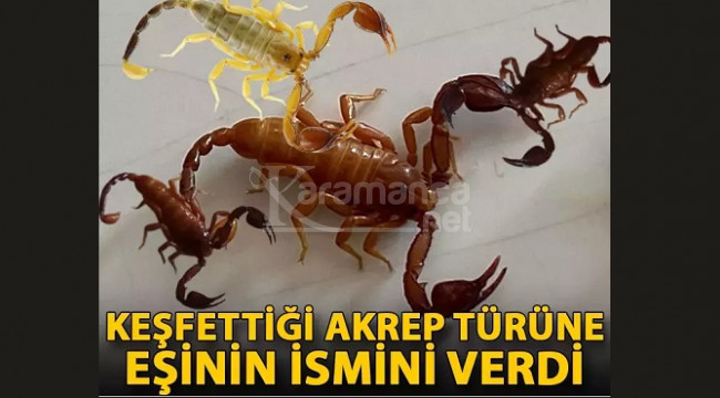 Konya'da keşfettiği akrep türüne eşinin ismini verdi