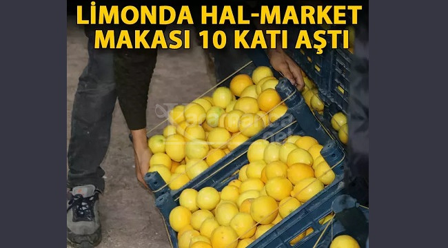 Limonda hal-market makası 10 katı aştı