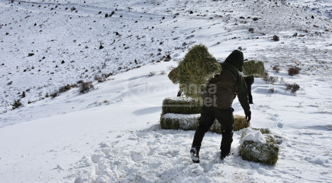 Yaban hayvanları için kış hazırlığı