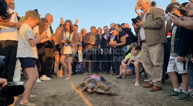 Caretta caretta 'Cumhuriyet'i 2 ayda 2 bin kişi izledi